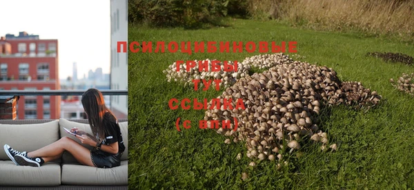 прущие крисы Арсеньев