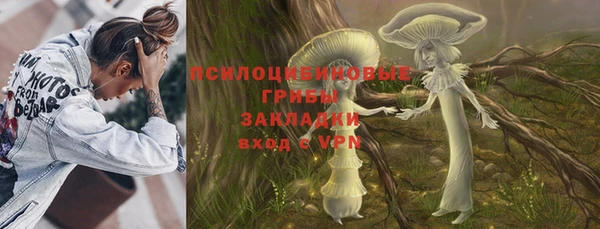 МДПВ Покровск