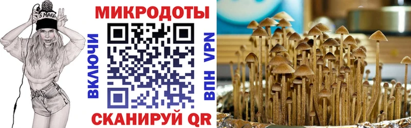 Галлюциногенные грибы Cubensis  Бавлы 